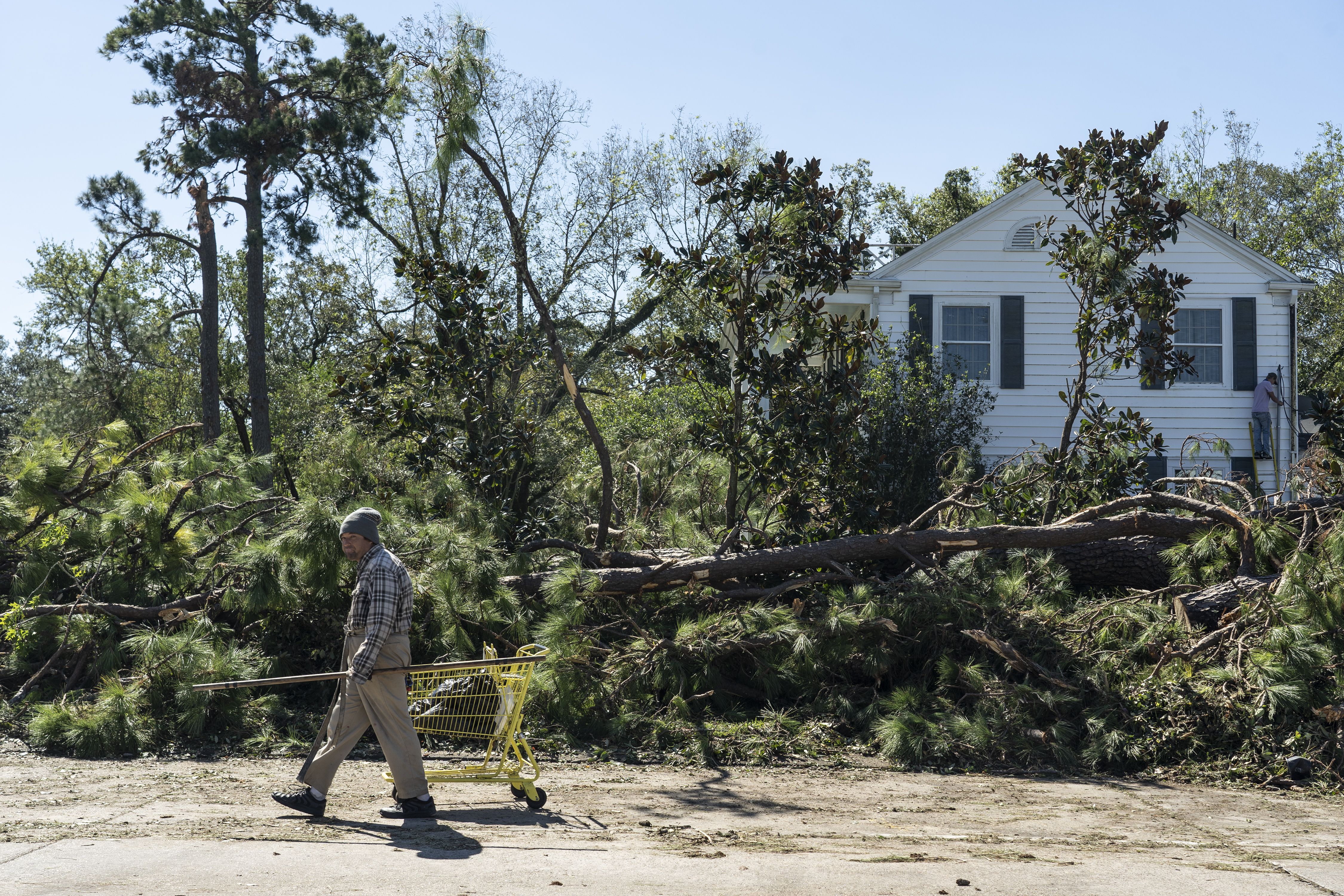  A person pulls a shopping cart in front of fallen trees after Hurricane Delta passed through the area on October 10, 2020 in Jennings, Louisiana. 