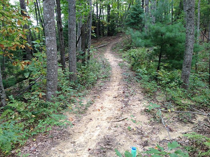 hiking-trail-at-dupont-forest