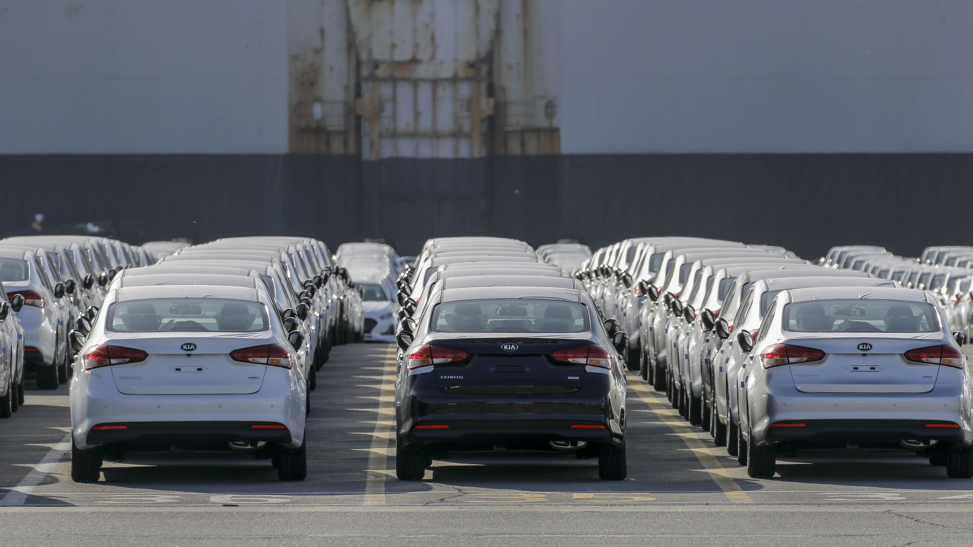 Black and white Kia sedans lined up