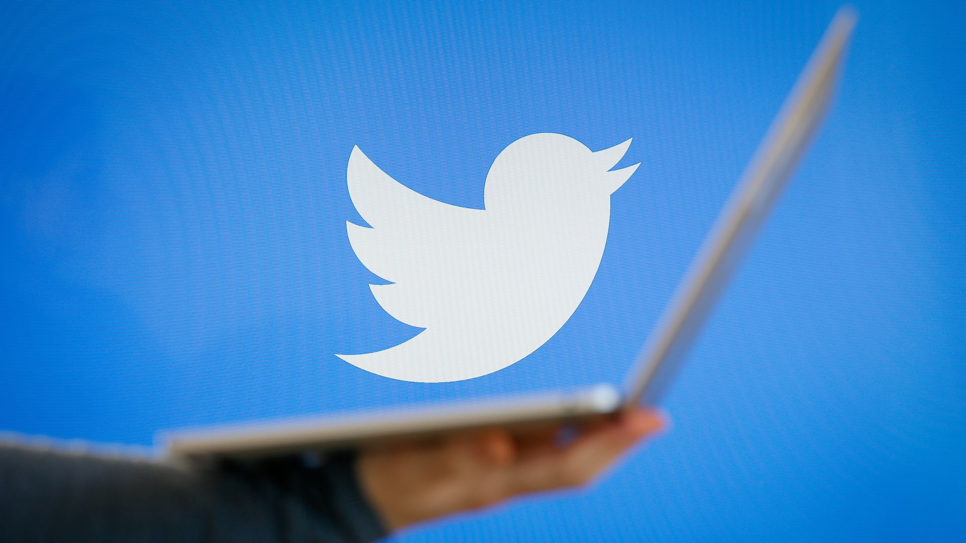 A Twitter logo bird in white on blue background, with an open laptop in front.