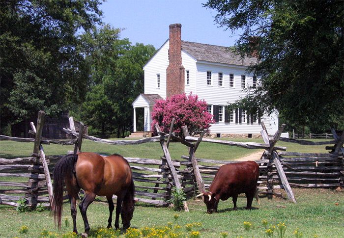 latta-plantation-charlotte