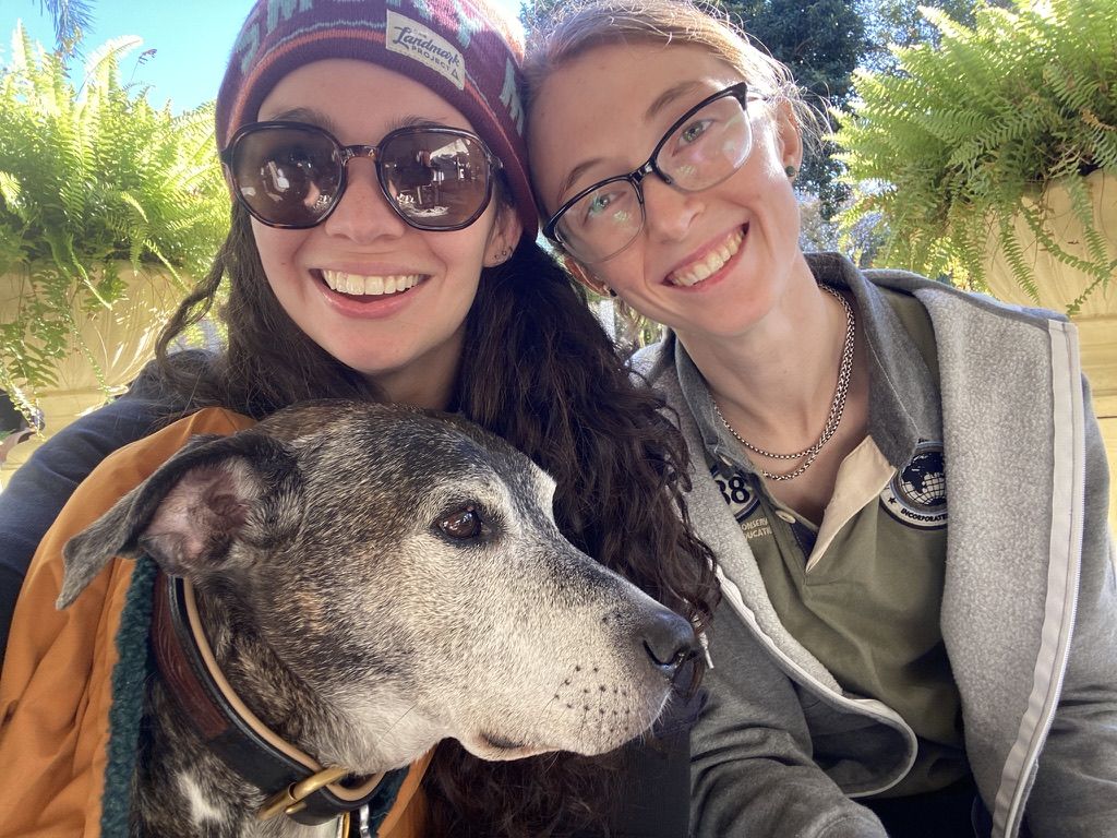 Two smiling people wearing glasses and outdoor clothing pose with a gray and black dog under sunny skies and hanging green plants.