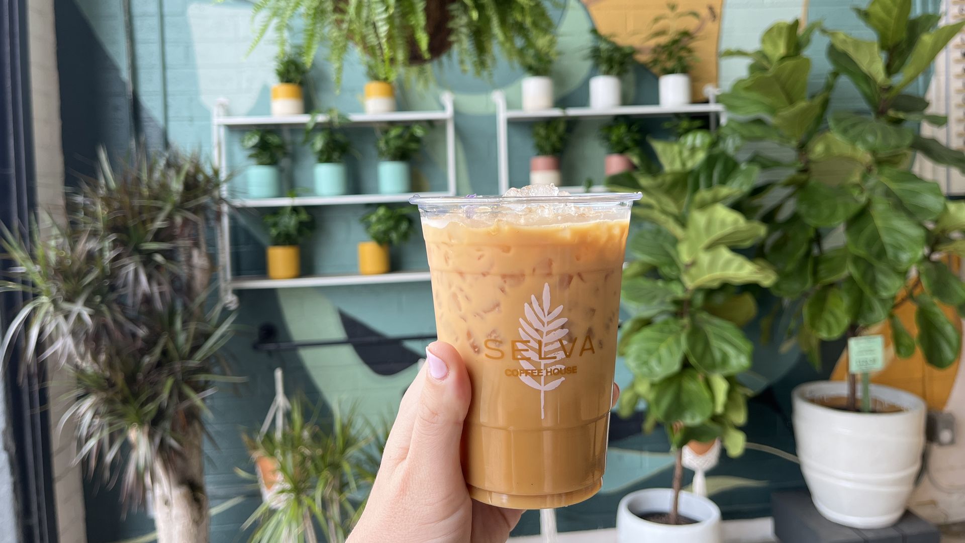 A hand holding up an iced coffee in a plant store.