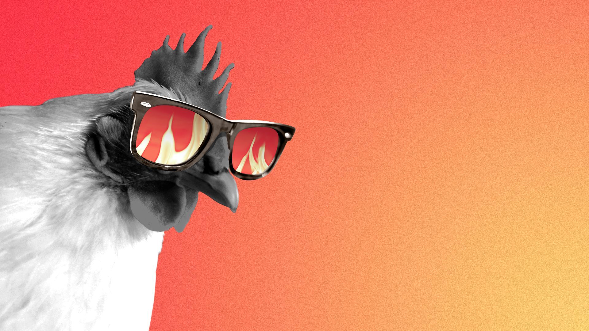 Illustration of a chicken wearing sunglasses with fire reflected in the lenses.