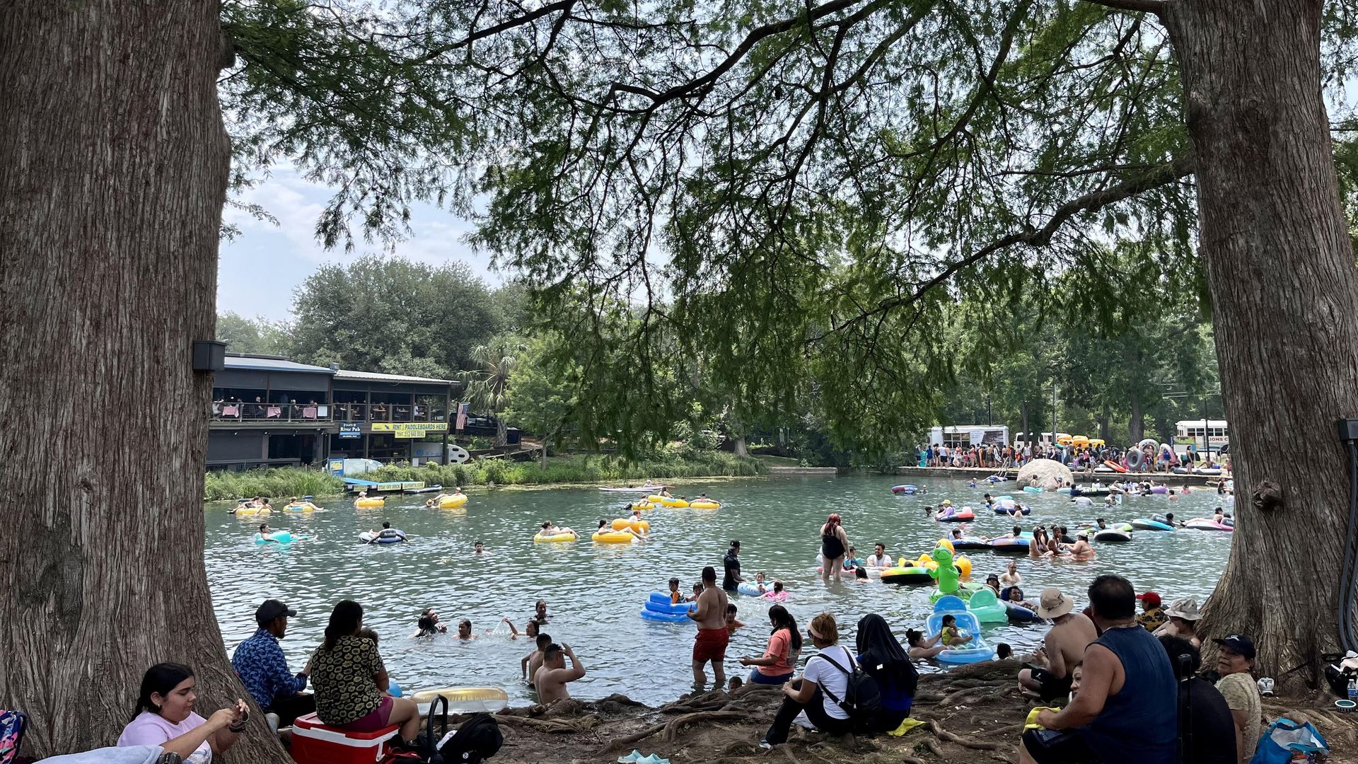 Groups of people gather on a shaded bank of the San Marcos River. 