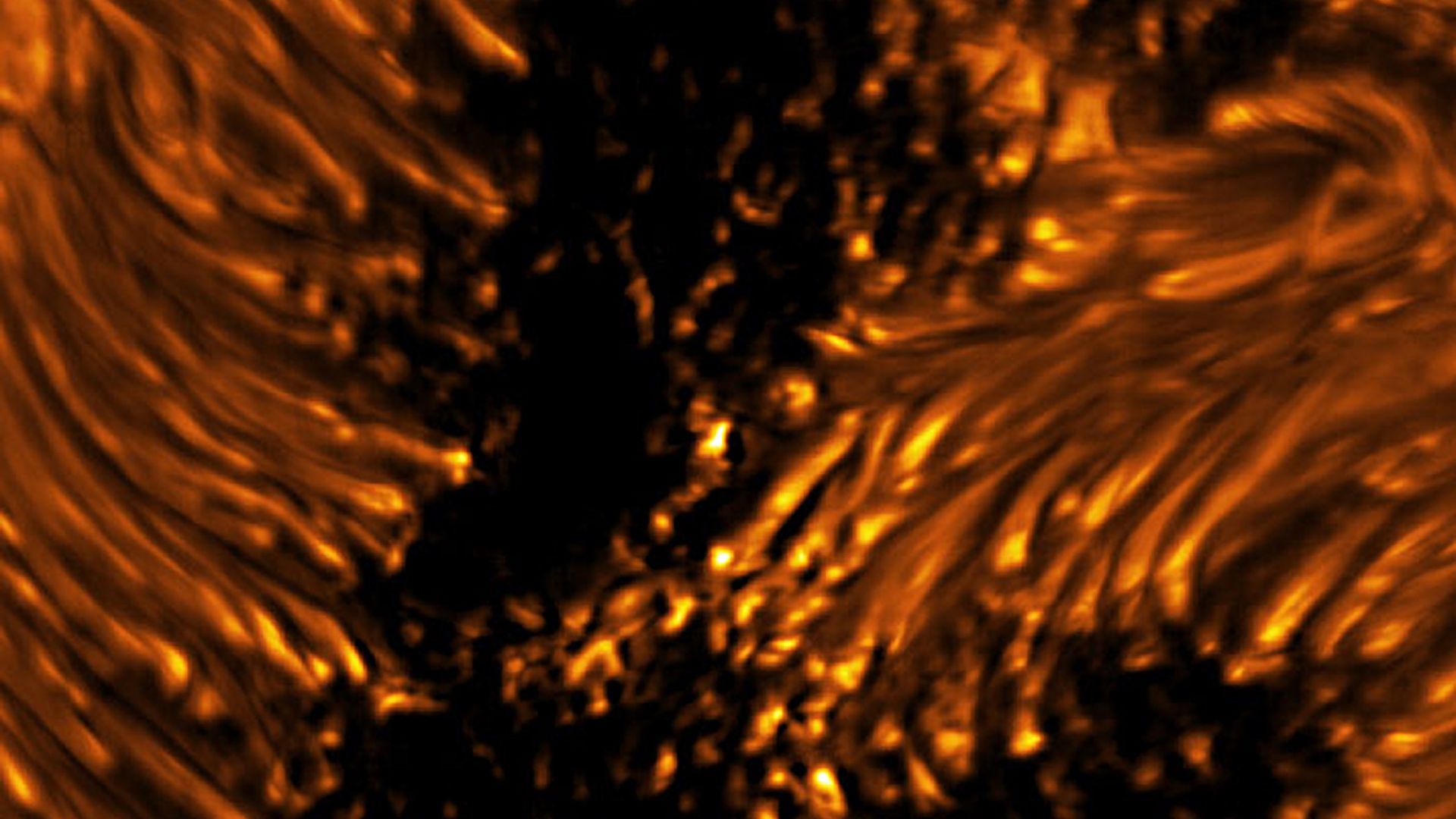 The fine details of a sunspot that look like orange filaments with yellow tips burning around a black void