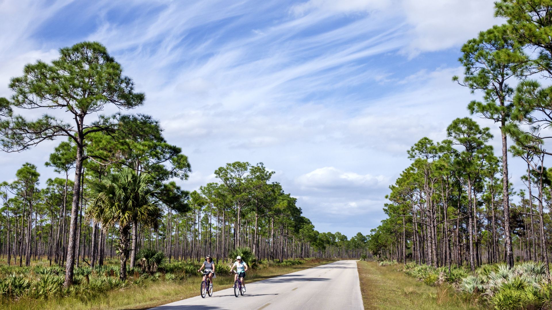 Two people riding bicycles on Park Drive in Jonathan Dickinson State Park.