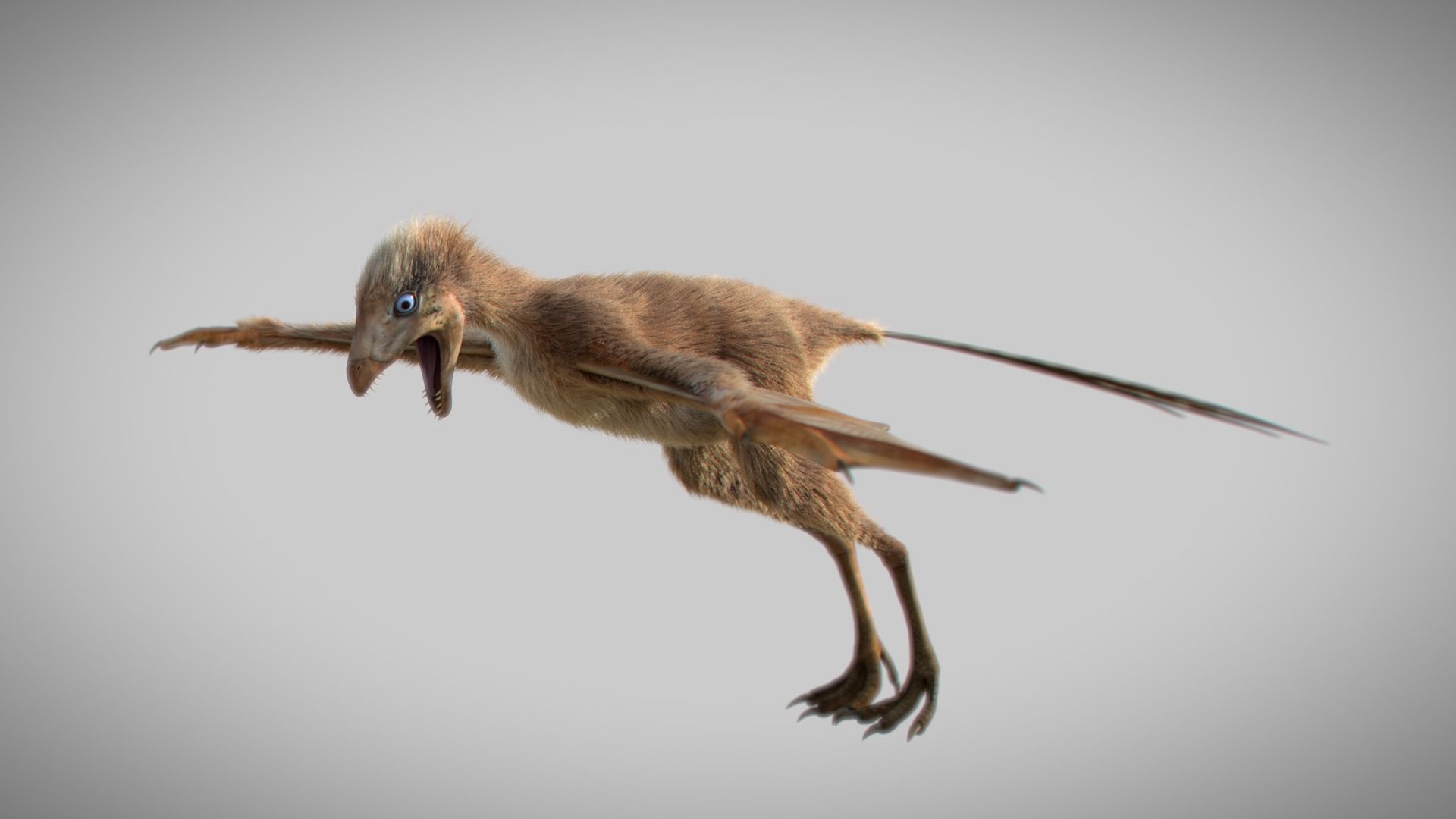 A 3-D reconstruction of Ambopteryx longibrachium, a small dinosaur with bat-like wings