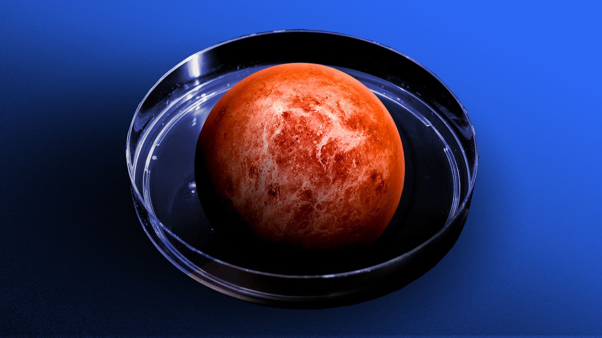 Illustration of the planet Venus in a petri dish