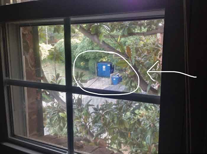 dumpster outside apartment