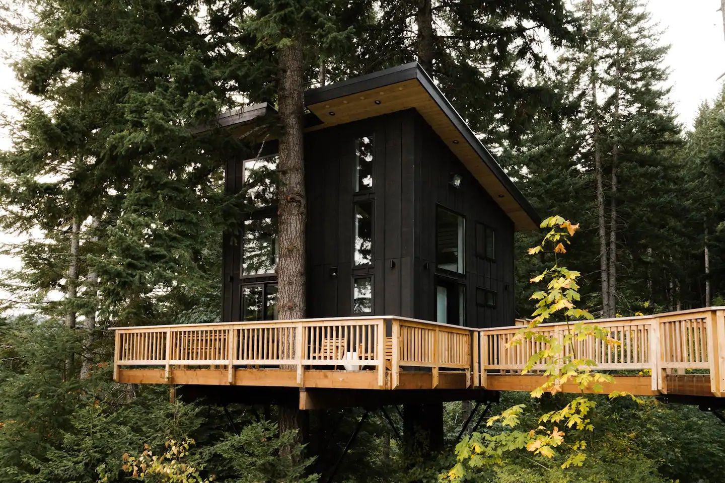 A two-story treehouse is painted black with a wrap-around patio oak gate.