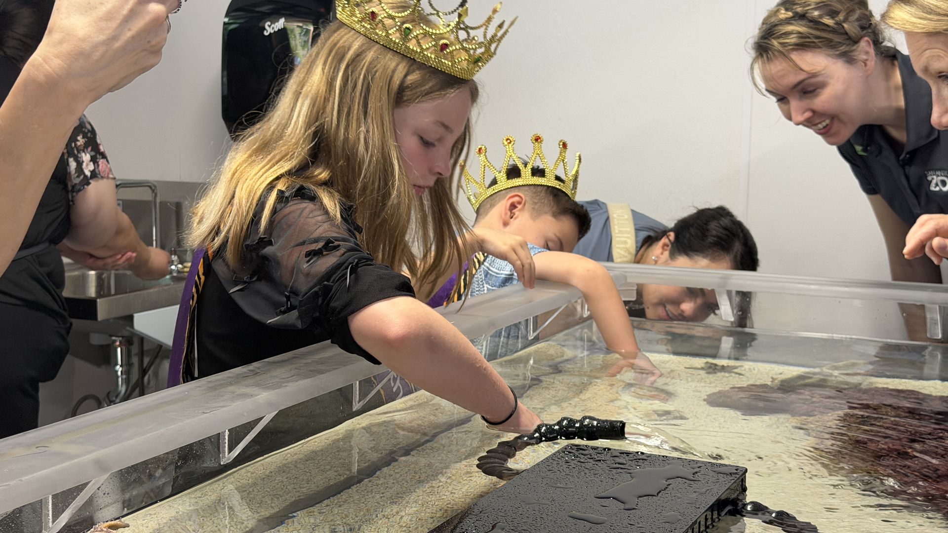 Two people wearing gold crowns lean over a long glass tank, reaching into the water with tools while a staff member smiles and assists; others observe in a bright room.