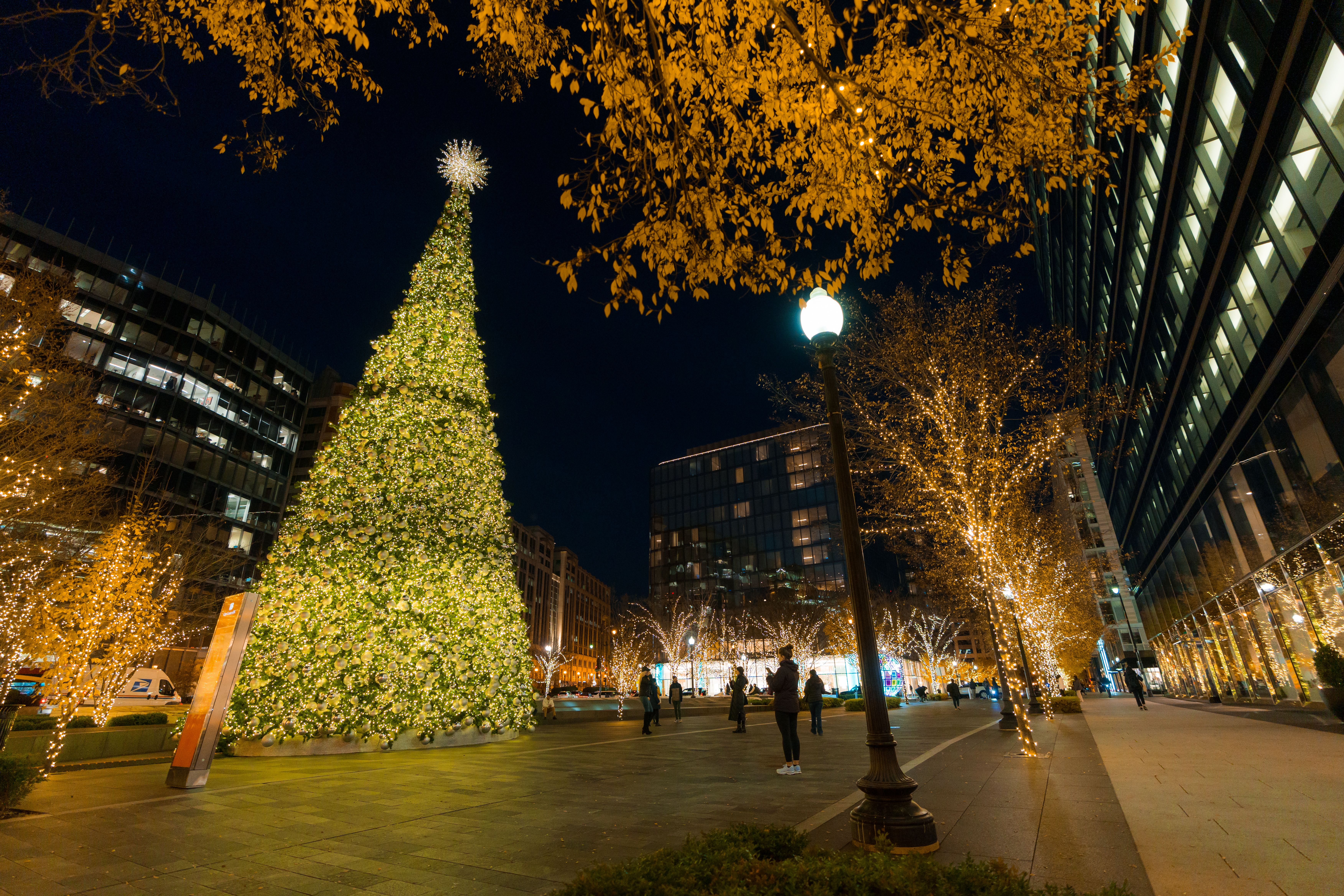 The CityCenter tree, part of downtown's light displays