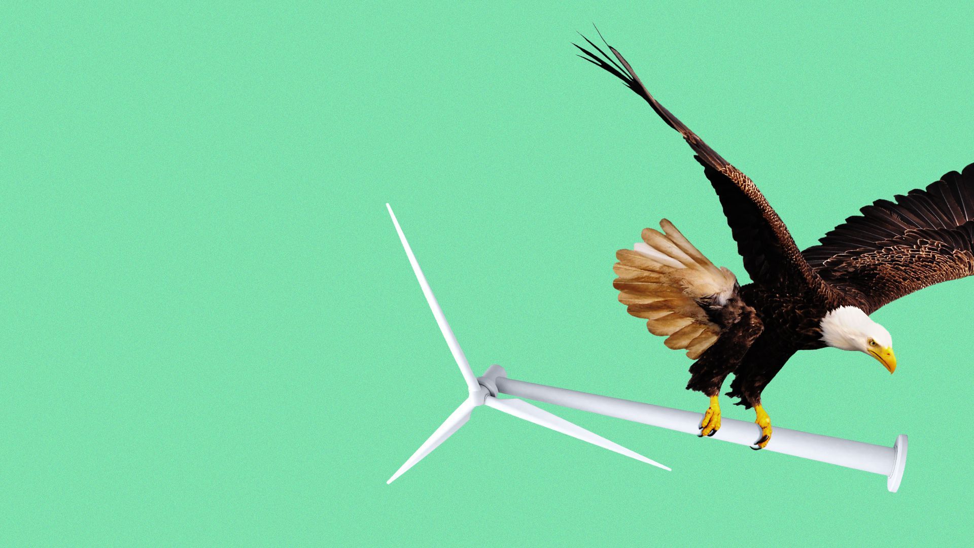 Illustration of a bald eagle clutching a wind turbine in its talons. 