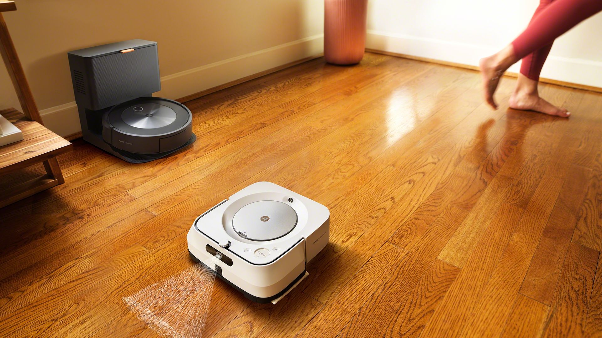 An iRobot Roomba.