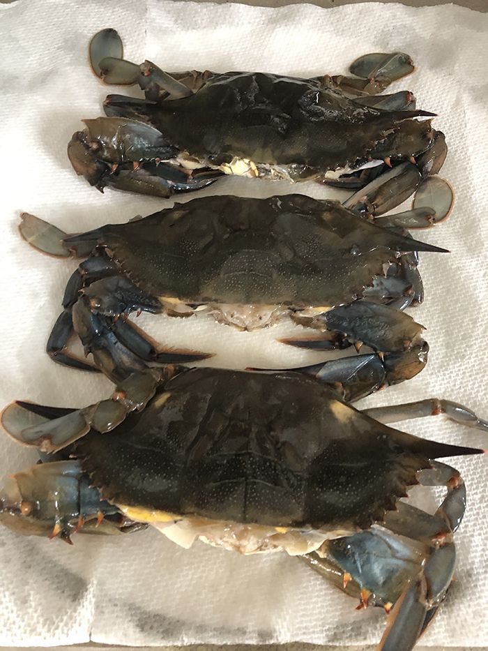 soft-shell crabs