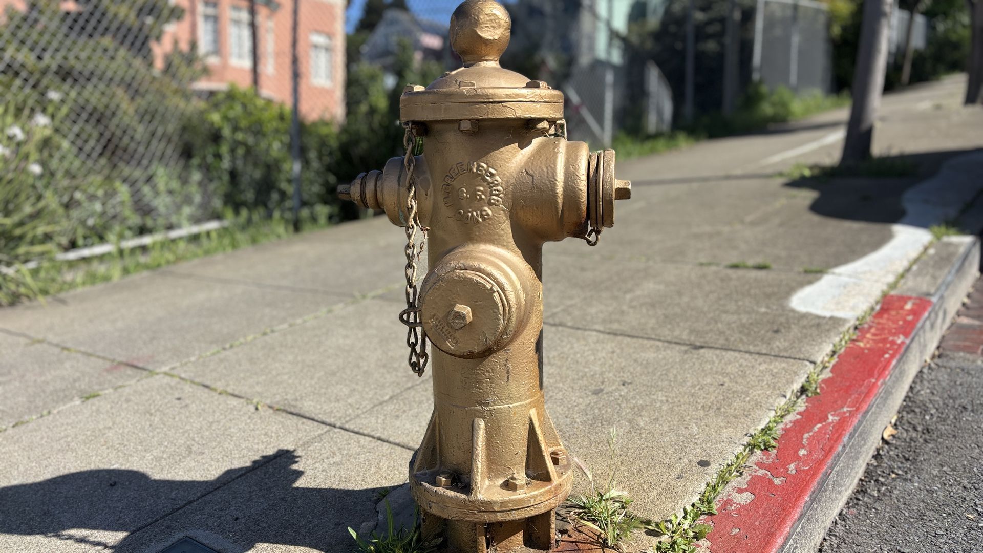 Gold-toned fire hydrant on a sidewalk near a red curb, chain hanging from its side. Background shows a chain-link fence, greenery, and blurred buildings in an urban street scene.