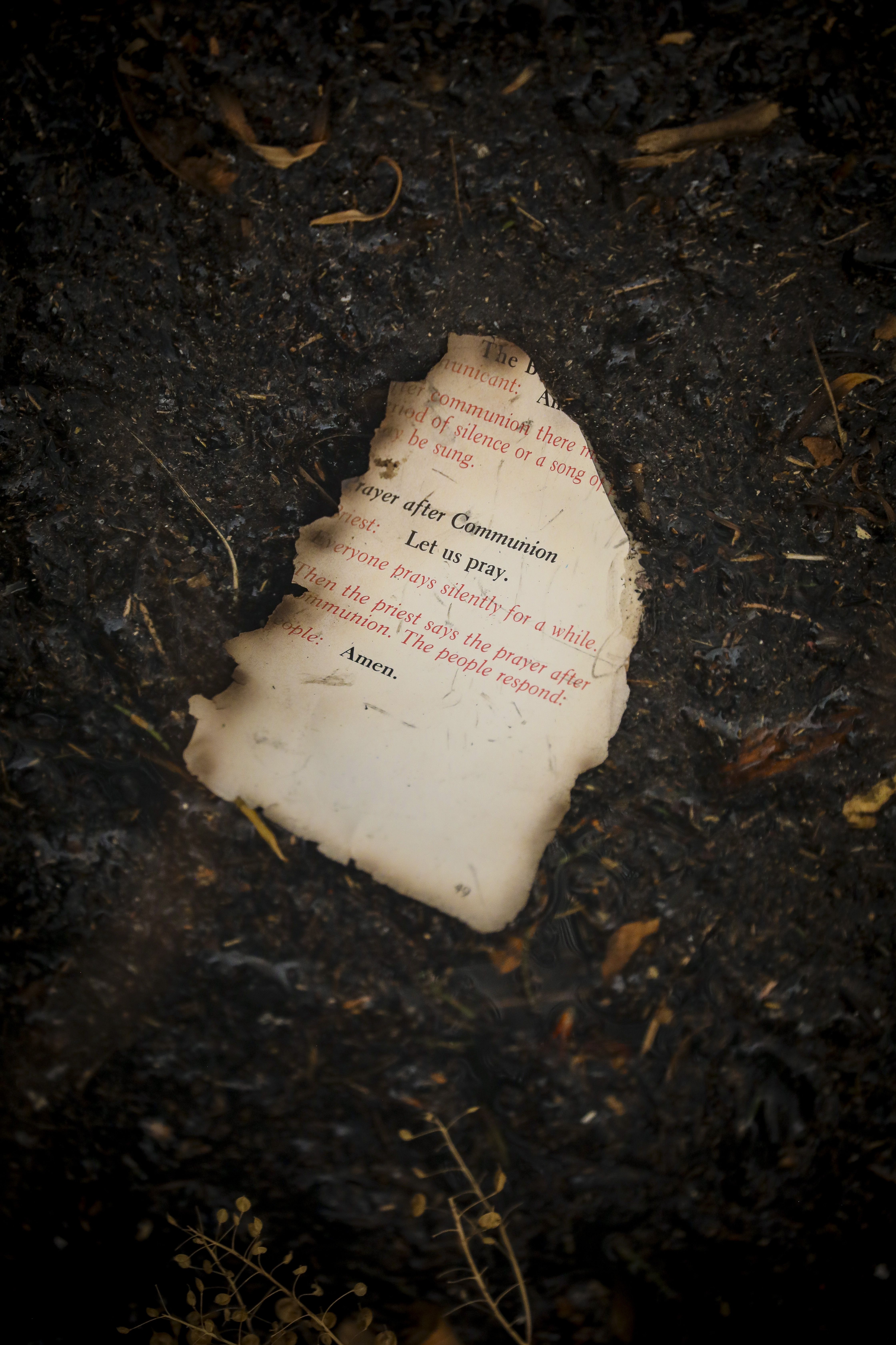 A burned page of a bible lies in the grass in the Centennial Heights neighborhood.