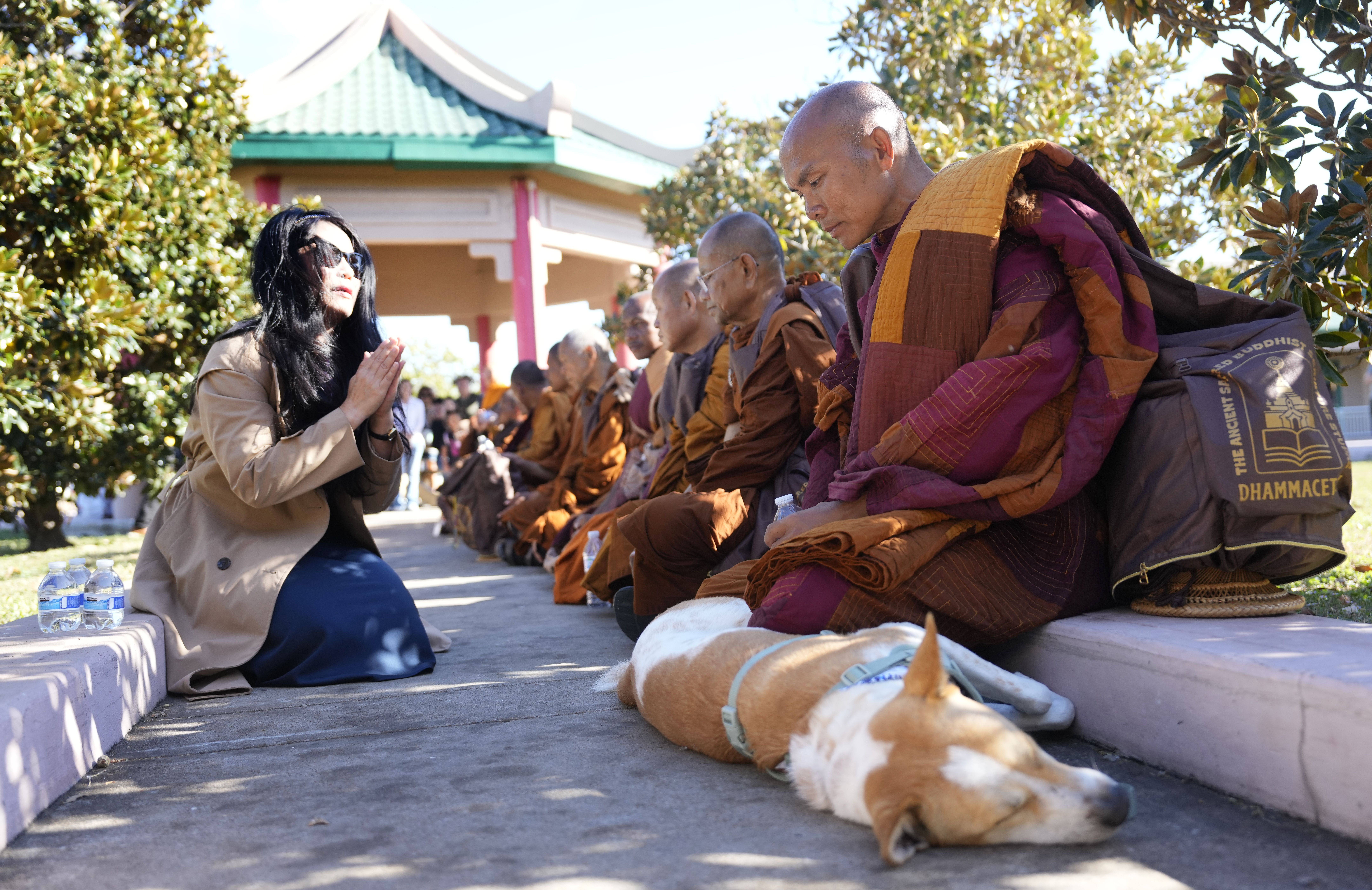 A woman with long black hair and sunglasses kneels with hands in prayer toward Buddhist monks dressed in orange robes seated along a walkway. A dog lies on the ground nearby.