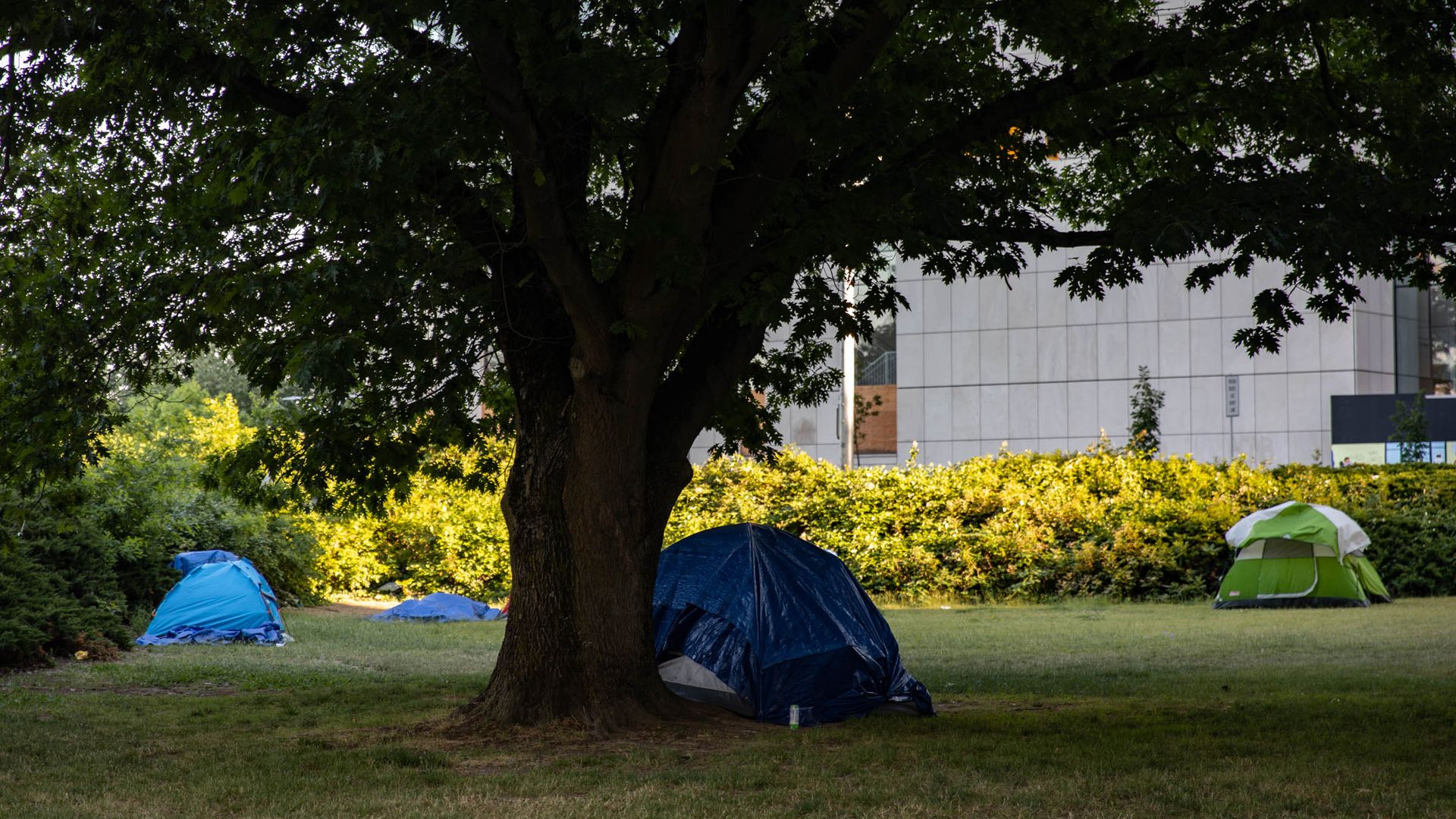 A photo of tents under a tree.