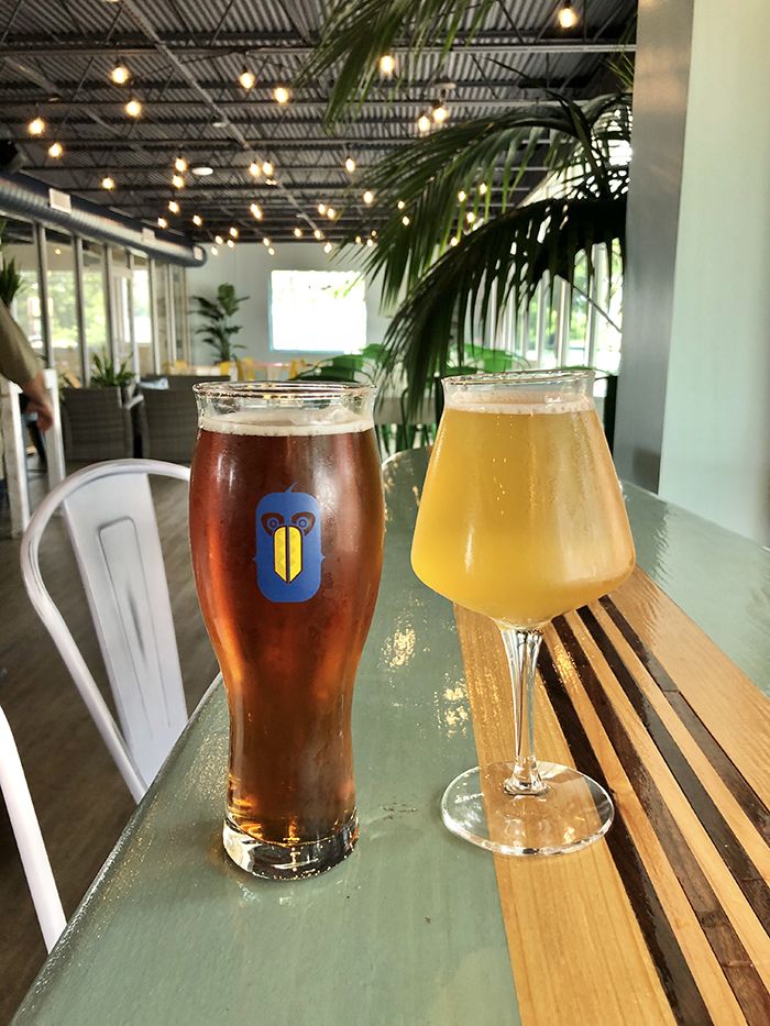 toucan louies sunstead brewing beer