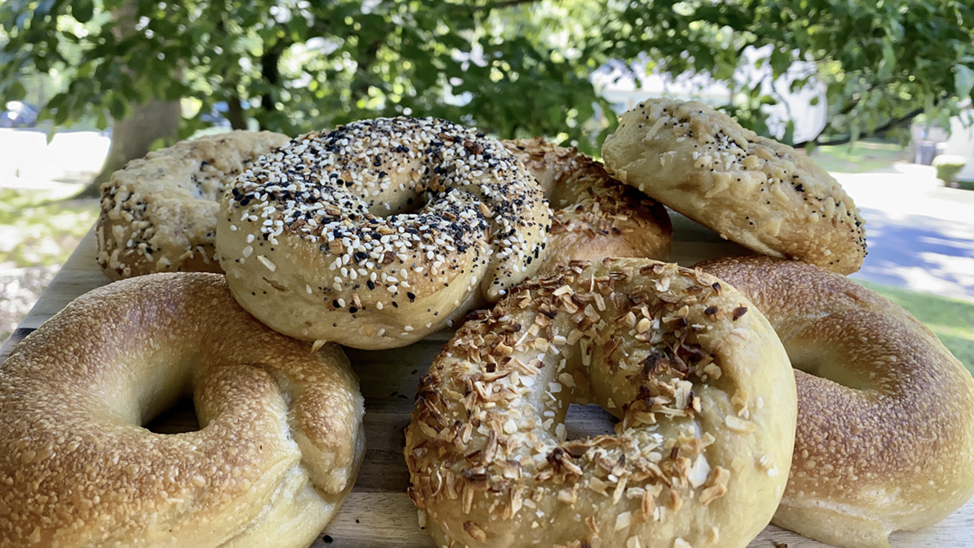 pile of bagels of various flavors in front of a green tree
