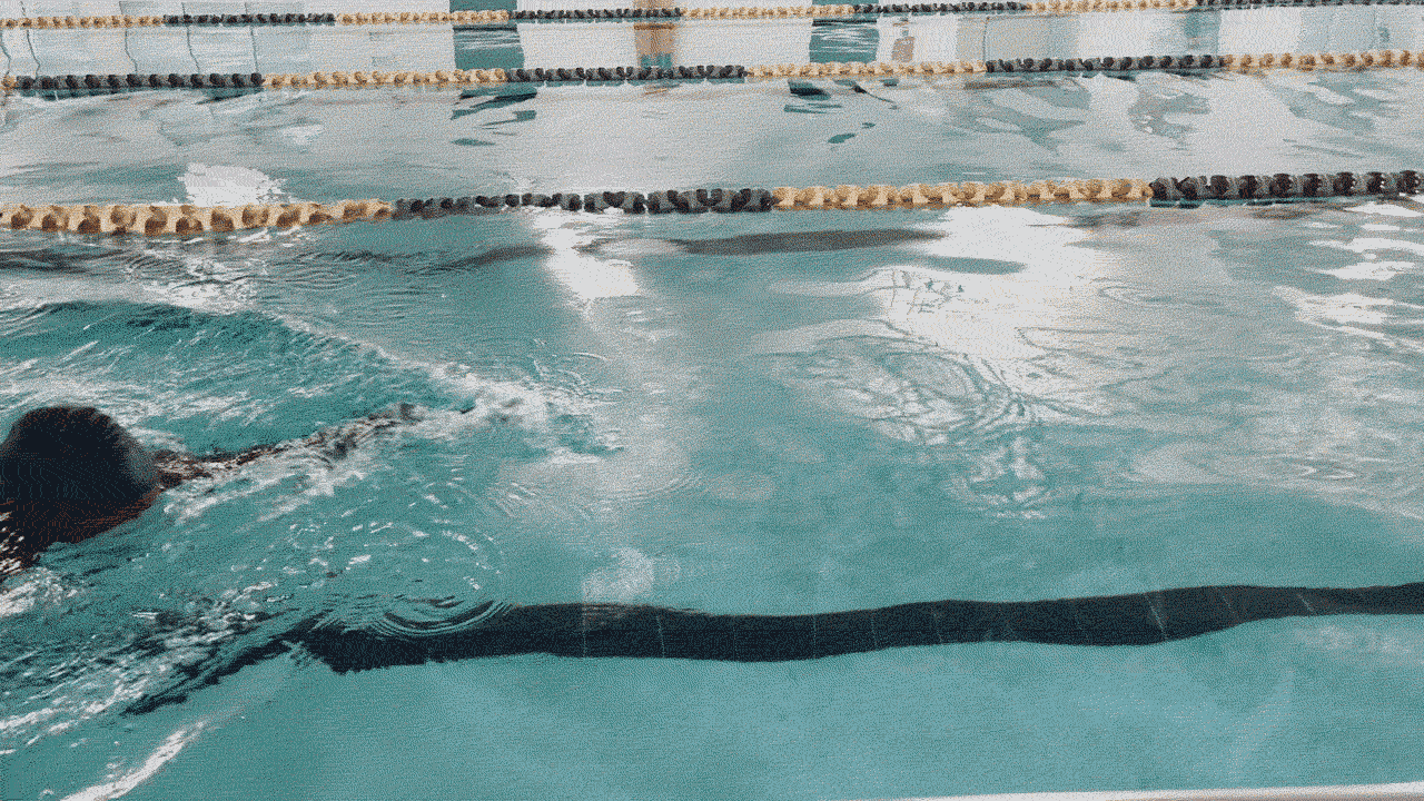 A gif of a woman in a black swim cap and black-and-blue bathing suit swimming freestyle in a pool.