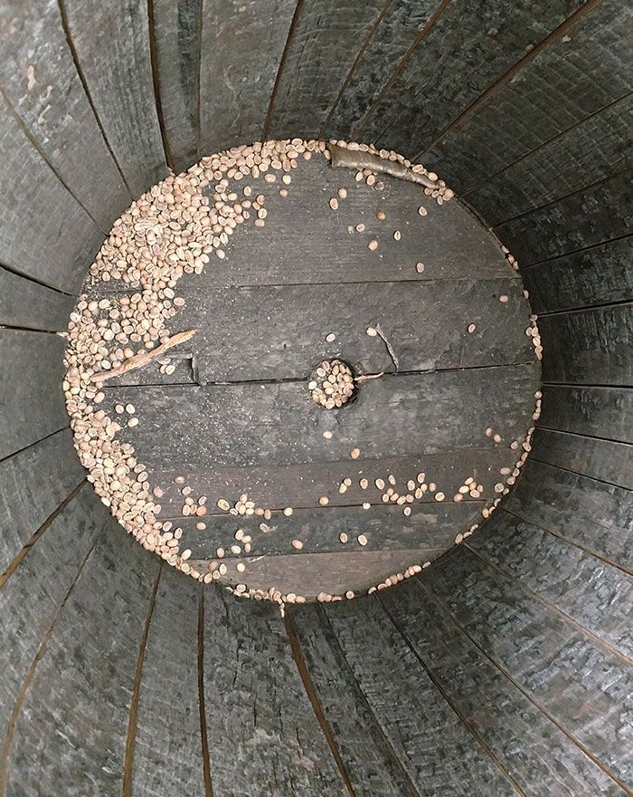 inside-a-spent-barrel