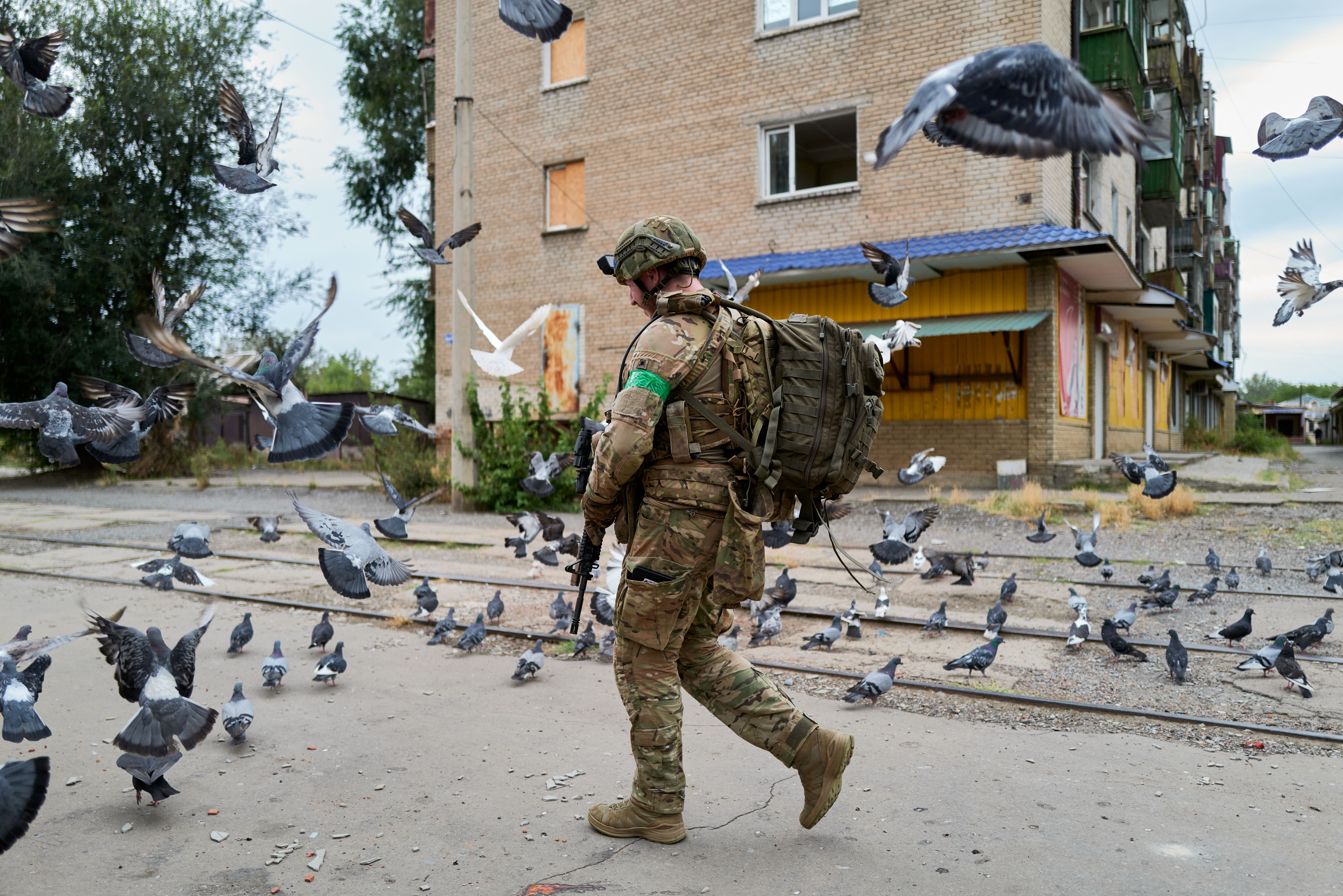  A soldier of the Armed Forces of Ukraine, deployed to defend their land against invading Russian troops, walks through a flock of pigeons on August 11, 2025 in Kostyantynivka, Ukraine