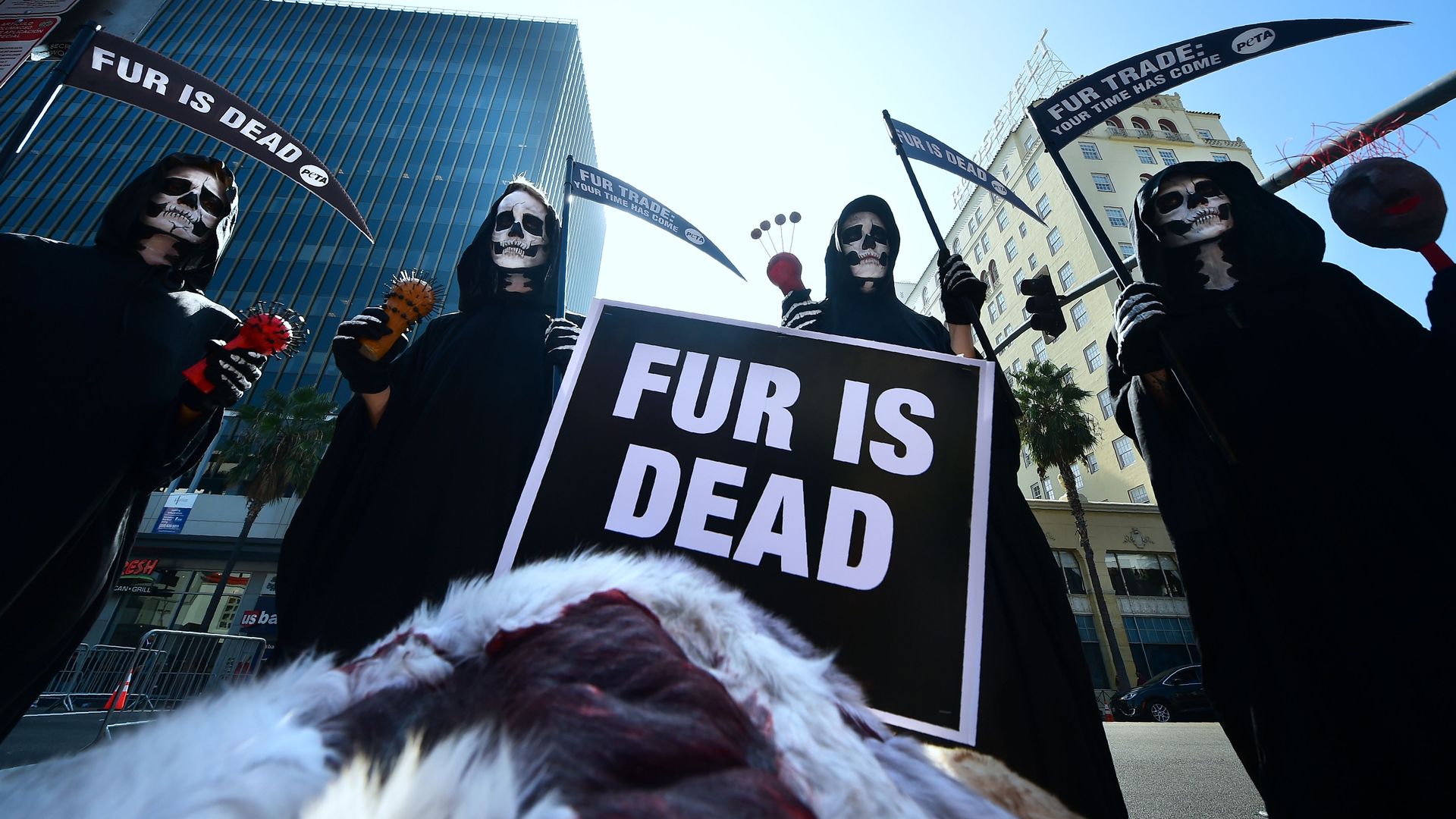 Black-robed PETA activists dressed as Grim Reapers hold a 'Fur is Dead' rally along Hollywood Boulevard on October 25, 2018 in Hollywood, California