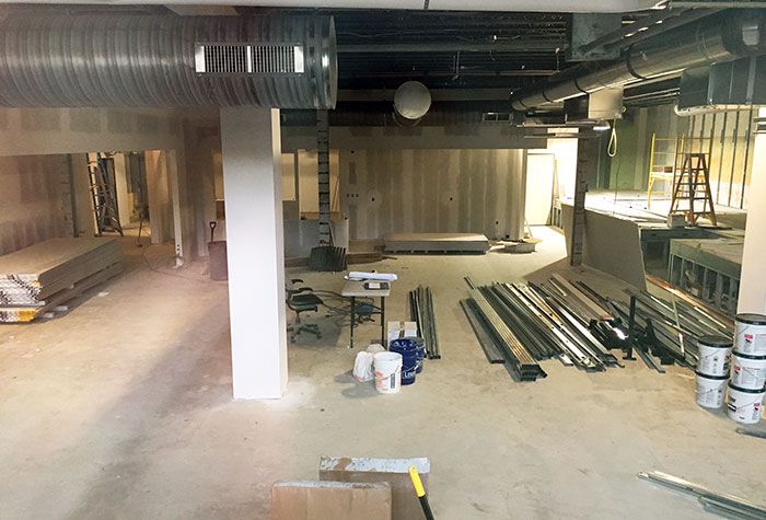 amelie's-construction