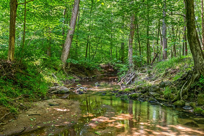 7210 Sample Road main house creek