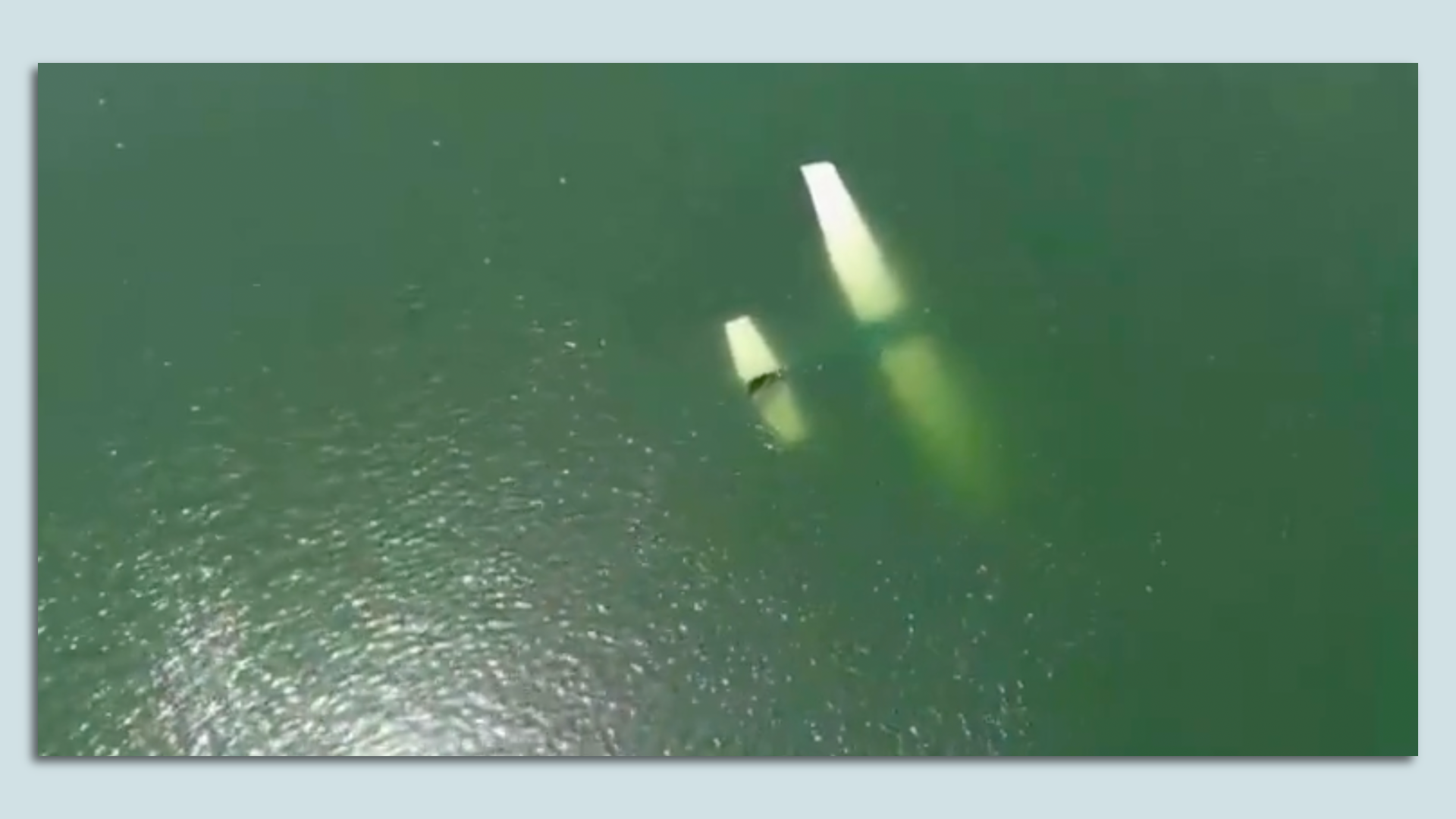 A plane sinking in Lady Bird Lake.