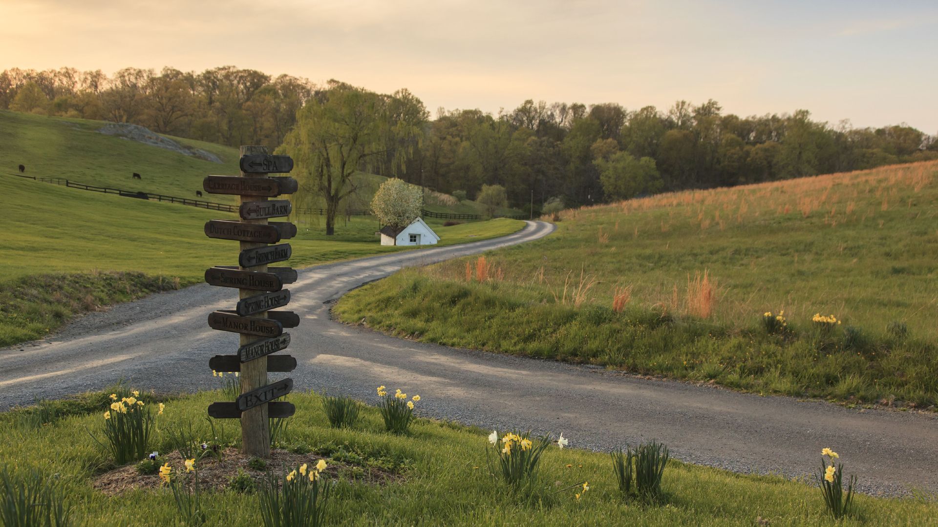 Roads converge between rolling hills with a little house in the background