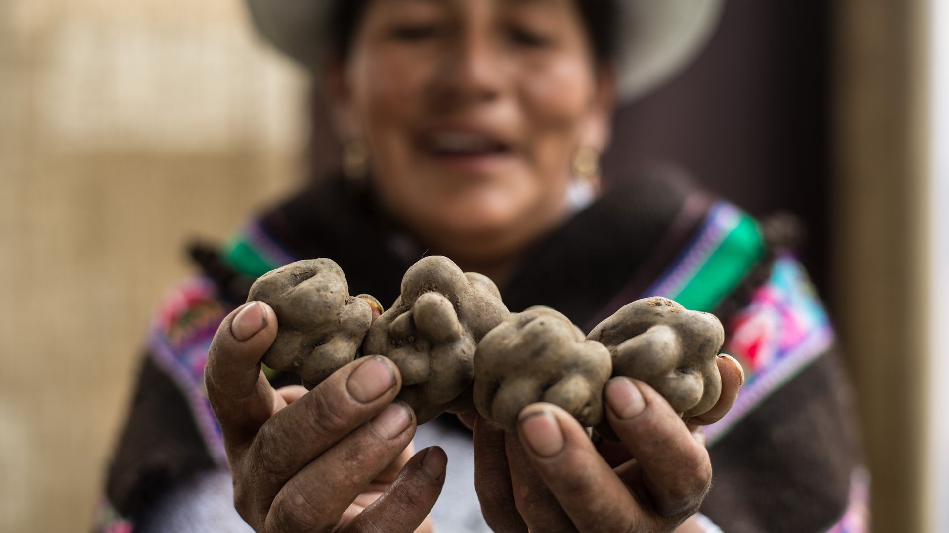 Picture of a woman holding a potato native to Peru