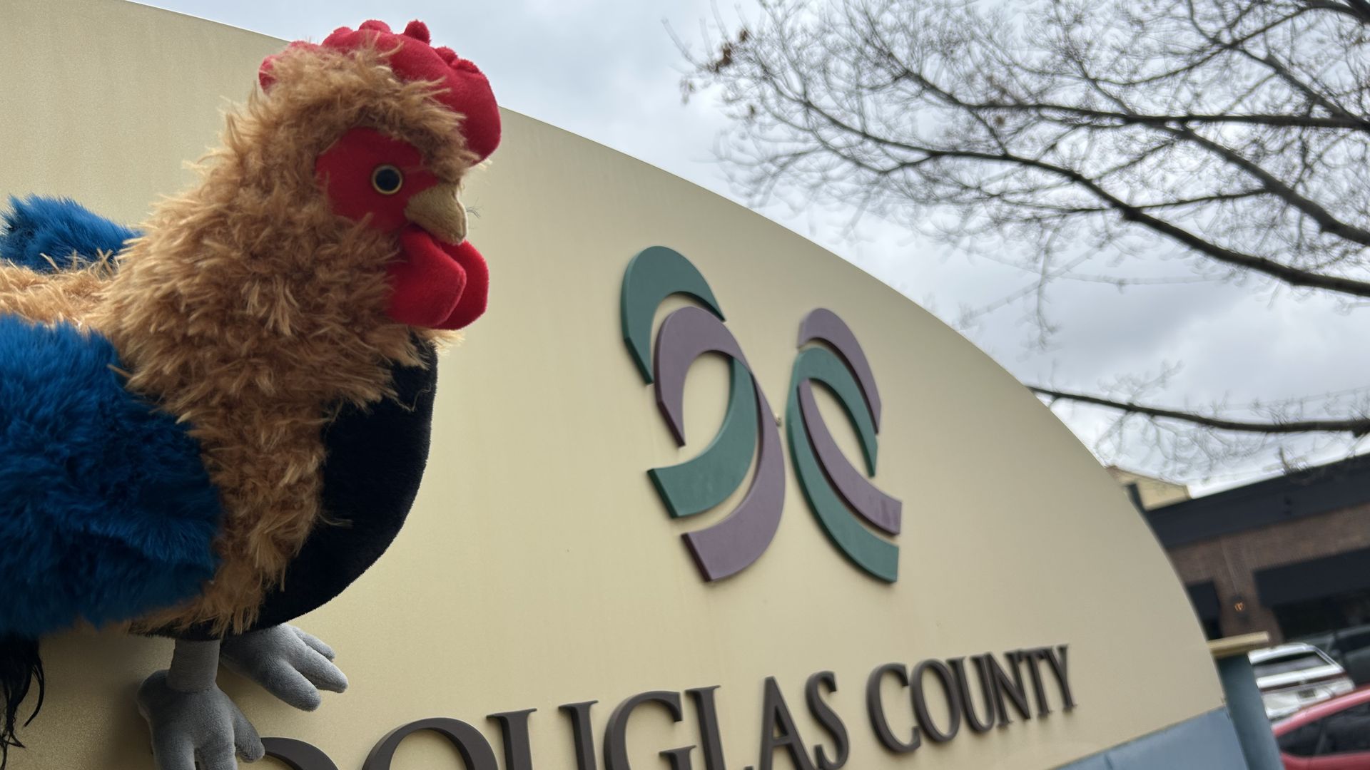 Plush rooster visits Douglas County.