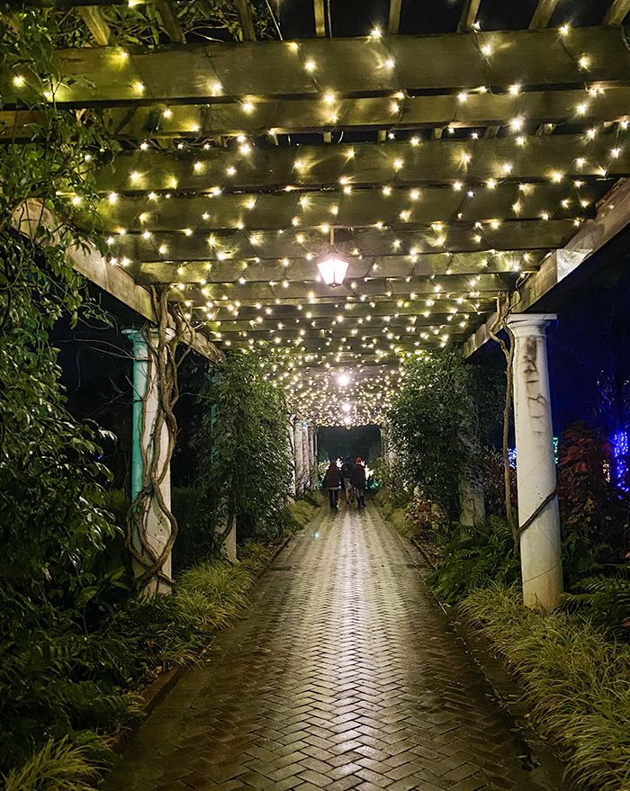 hallway of holiday lights at daniel stowe