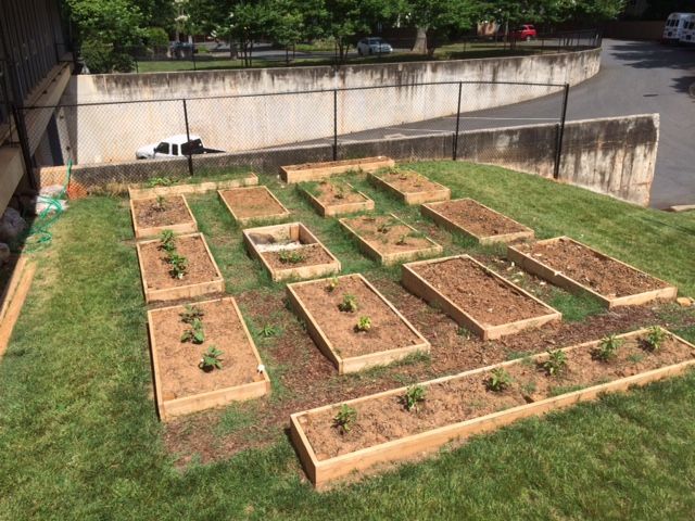 ywca garden charlotte