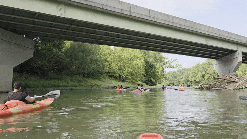 Group of kayakers paddling on a calm river under a concrete bridge surrounded by green trees on a sunny day.