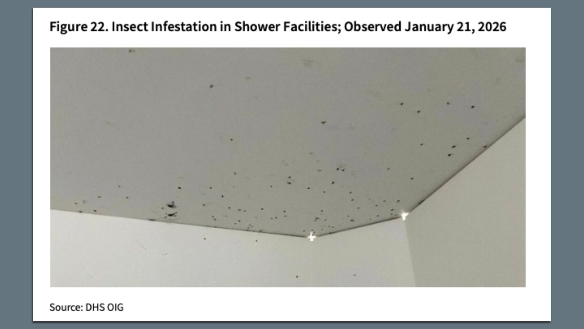 Bug infested shower at Alligator Alcatraz