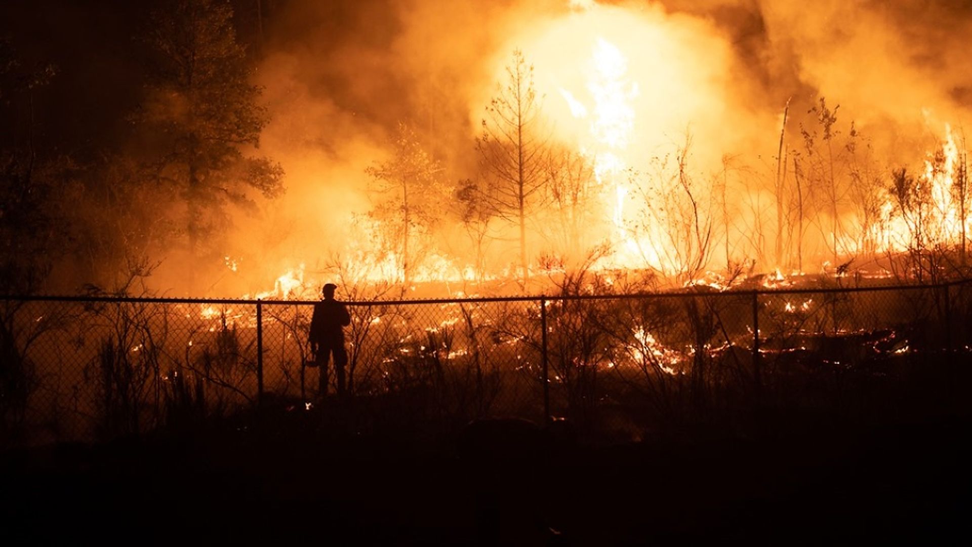 A person surrounded by fire in Oregon looks at a burning field.