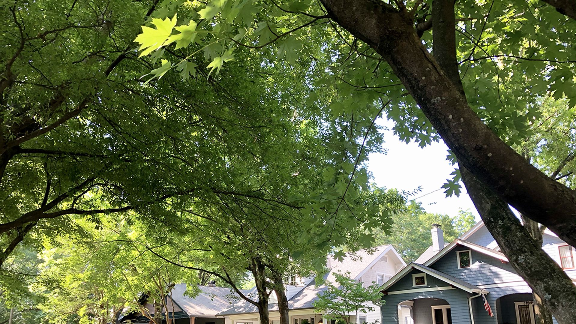 charlotte real estate guide