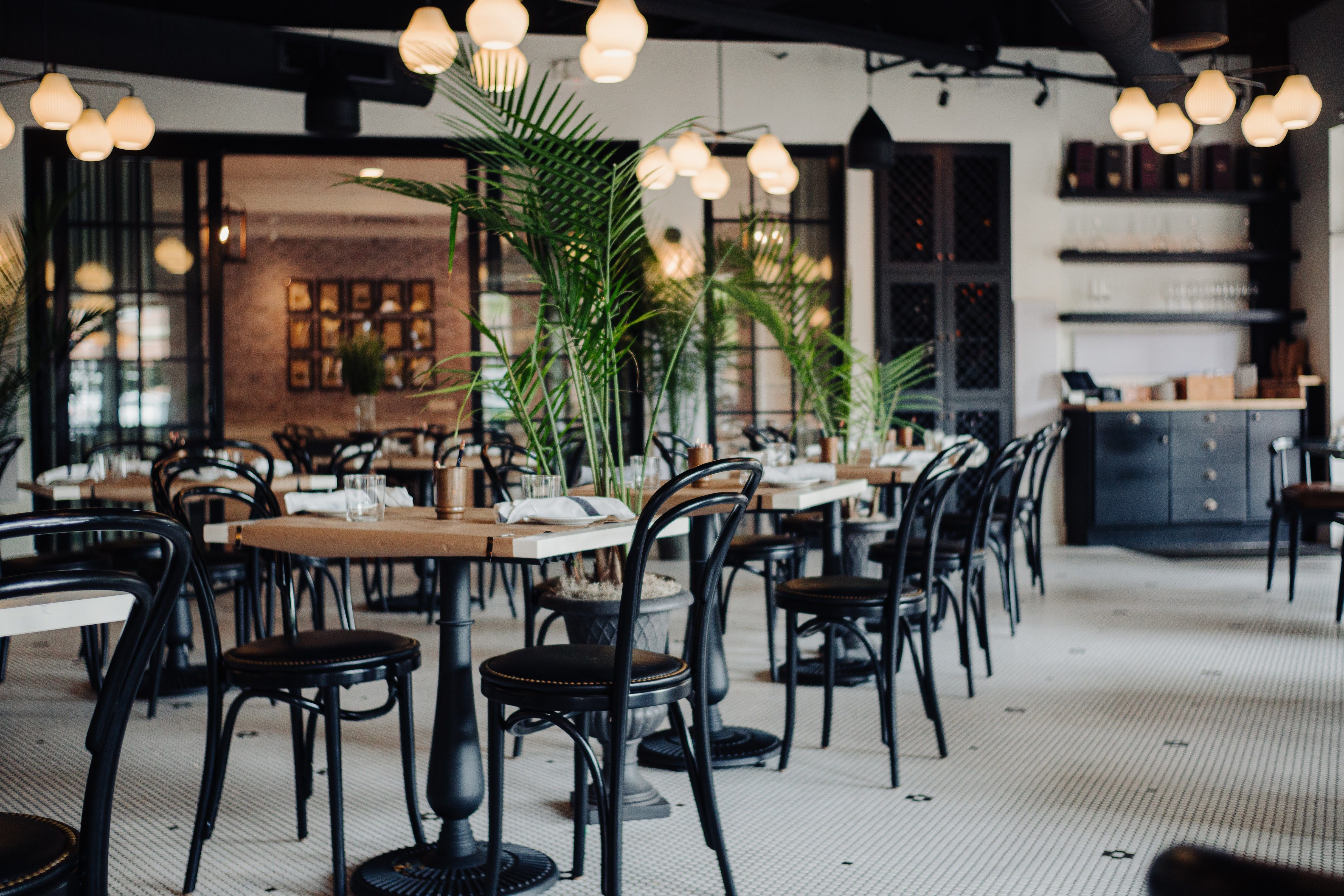 Modern restaurant interior with rows of wooden tables and black curved chairs, tall green plants in the center, warm pendant lights, and a kitchen area with shelves in the background.