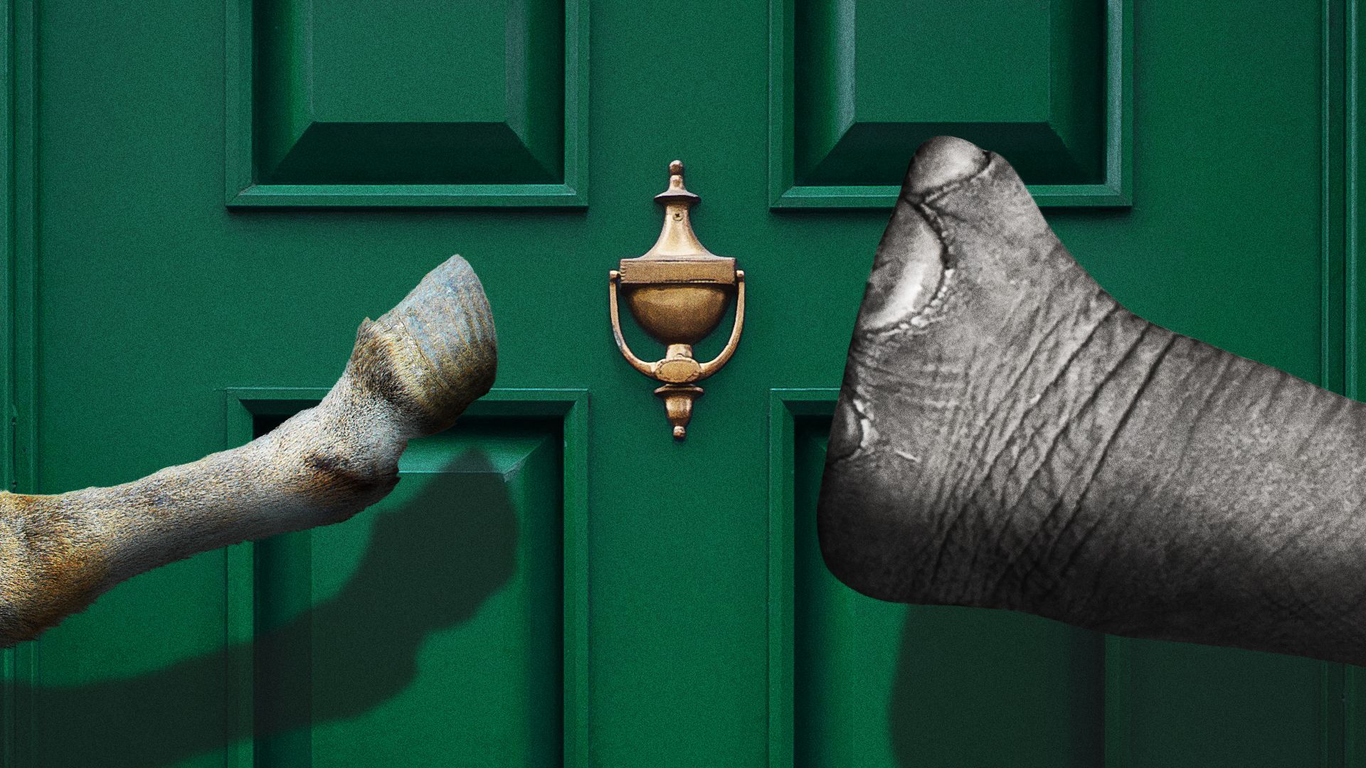 Illustration of a donkey and elephant reaching for a door knocker. 