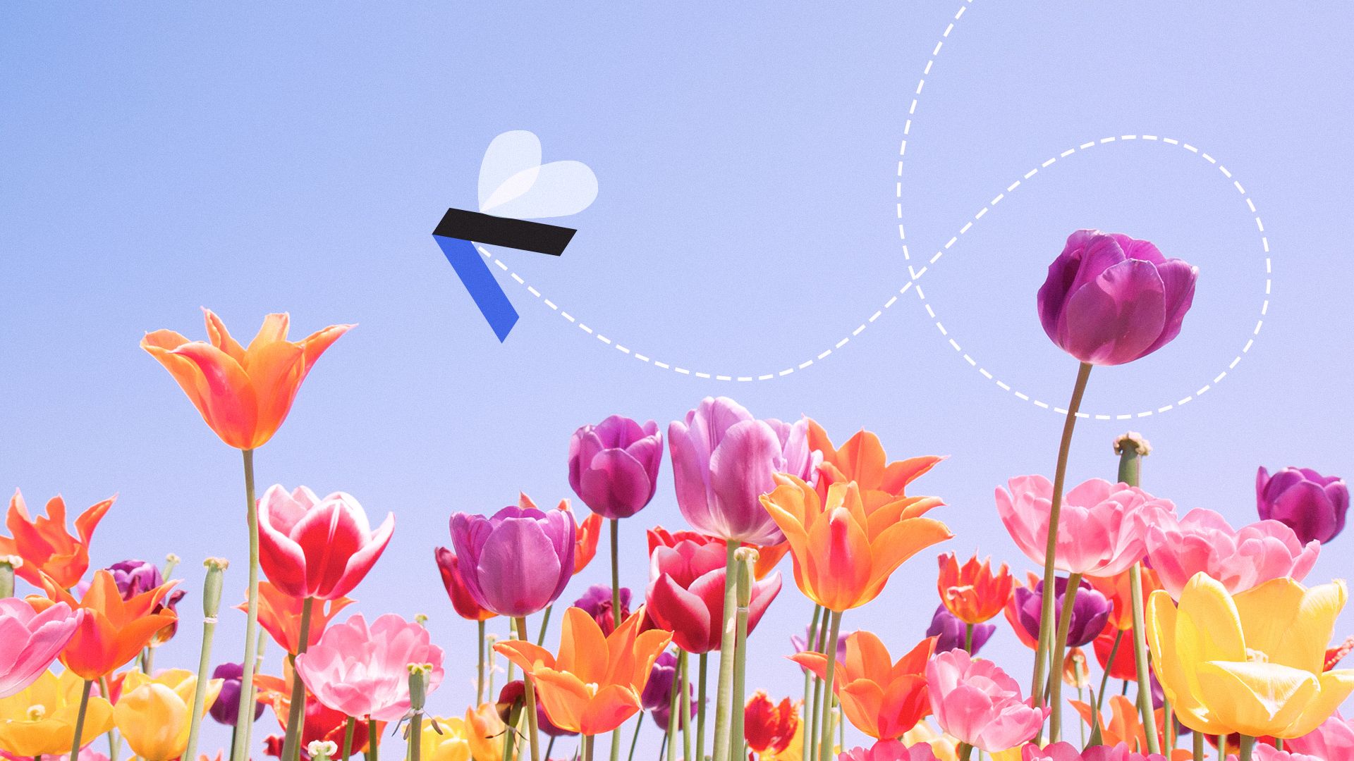 Illustration of spring flowers with an Axios "A" logo stylized as a bee buzzing between the blooms. 