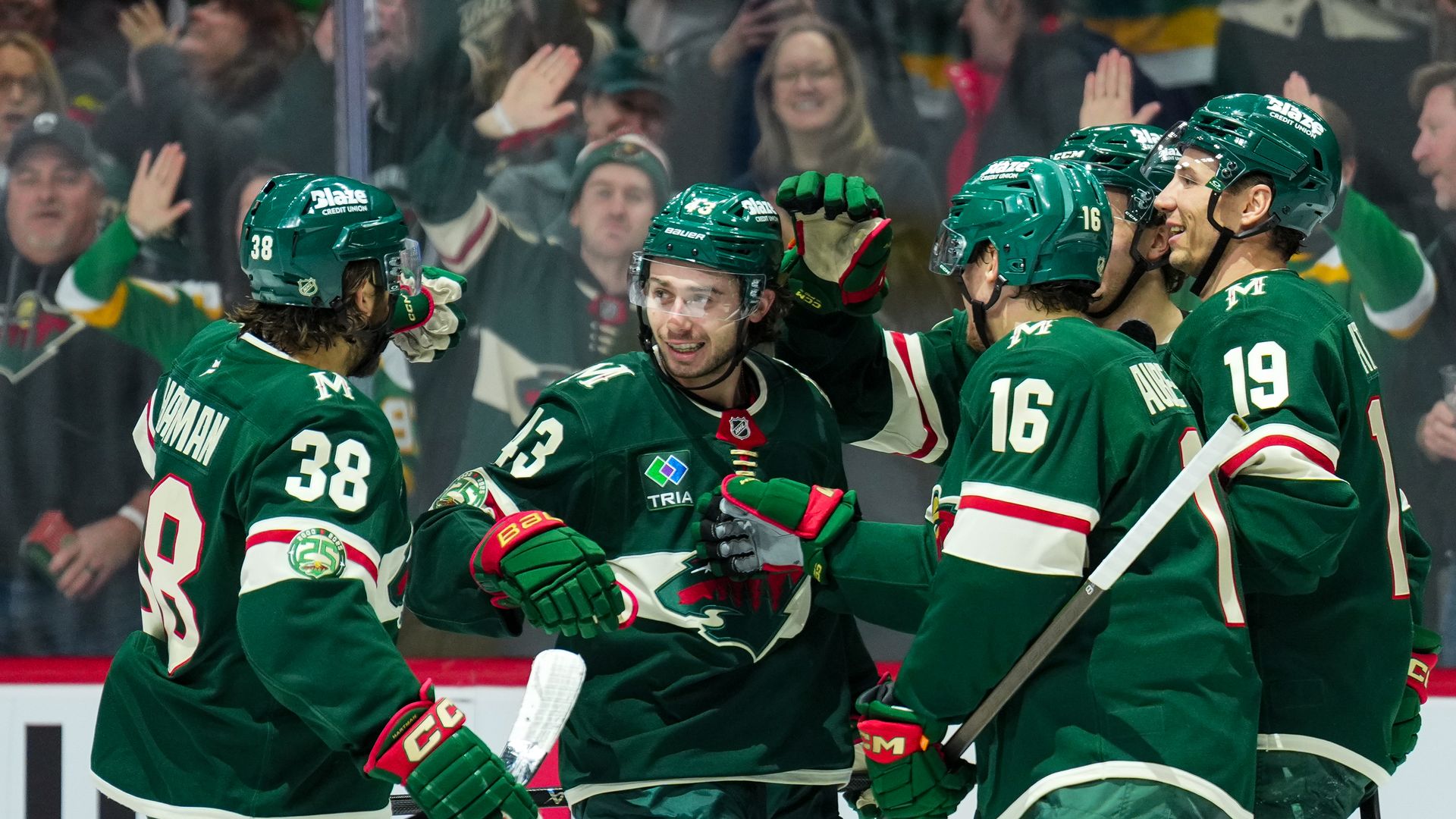 Minnesota Wild hockey players in green jerseys celebrating on ice with fans cheering behind the glass. Players wear helmets and hold hockey sticks, showing excitement after a goal.