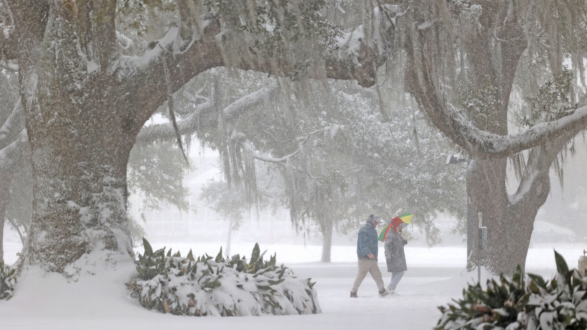 Photo shows people walking through City Park in the snow.
