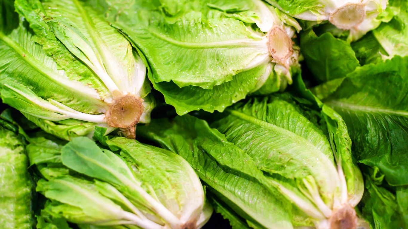Where the romaine lettuce E. coli outbreak hit hardest