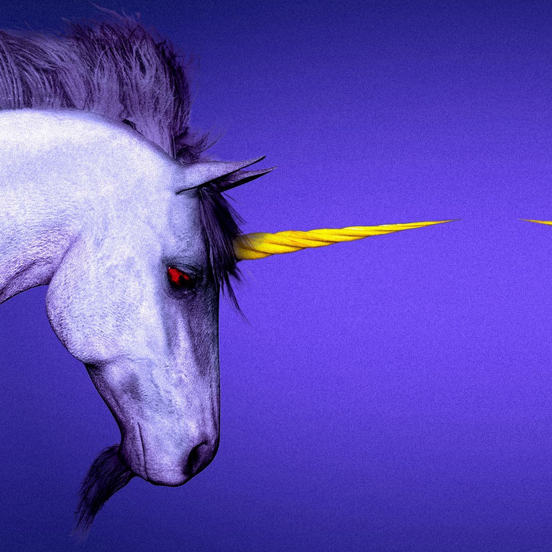 Illustration of two unicorns facing each other.
