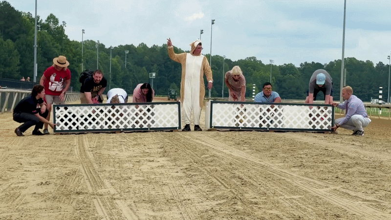 a video of corgis running on a horse racetrack